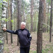  , 59 , 