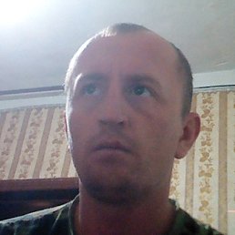 �������, �����������, 40 ���