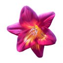 ���� �����, ������, 46 ��� - ��������� 26 ������ 2025 � ������ ������ ��������