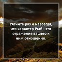 ���� ������, ���� - ��������� 4 ����� 2024 � ������ ���� ����������