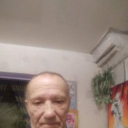 ����, 67 ���, ������