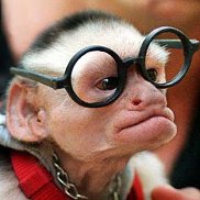 ����, , ���������