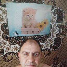 , 37, 