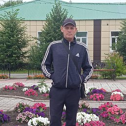 ������, 41 ���, ������