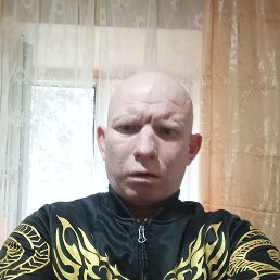, 41, 