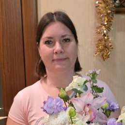 �����, 41 ���, ���������