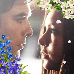 �������, ������, 52 ����