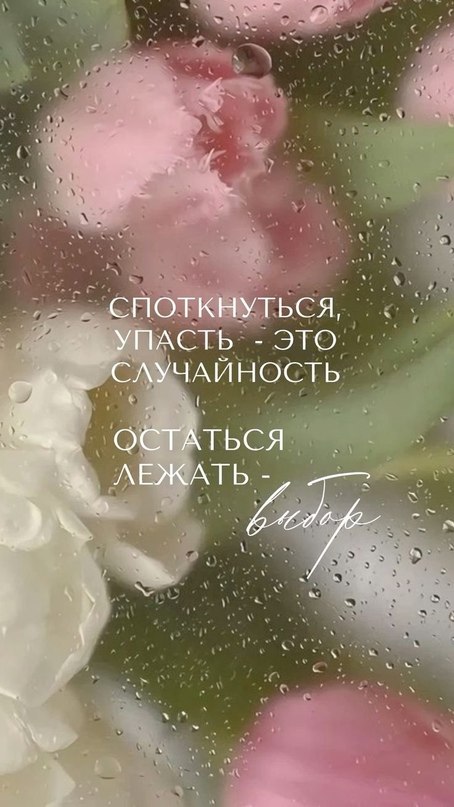   - 15  2024  09:24