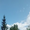 ���� �������, �������, 41 ��� - ��������� 25 ���� 2026 � ������ ���� ����������