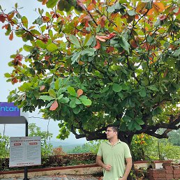 ���� Pankaj, ����, 36 ��� - ��������� 11 ������� 2024