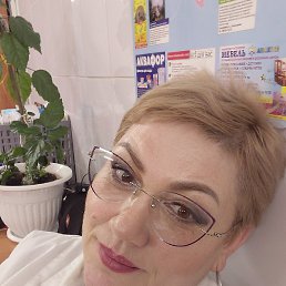 �����, ��������, 56 ���