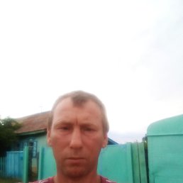 ������ �������, 44 ����, ���������