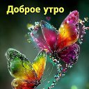 ���� �������, ����������� - ��������� 29 ������ 2026 � ������ ���� ����������