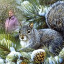 ���� �������, ���������, 71 ��� - ��������� 17 ������� 2025 � ������ ������ ��������