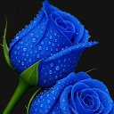 ���� Ahmed, ������, 56 ��� - ��������� 1 ��� 2026 � ������ ���� ����������