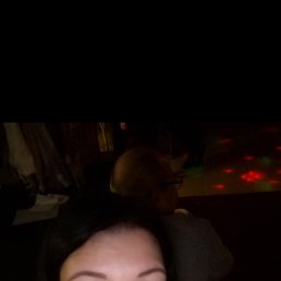 , 40, 