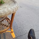 ���� ���������, ������ - ��������� 23 �������� 2024 � ������ ���� ����������