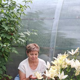 , 60, 
