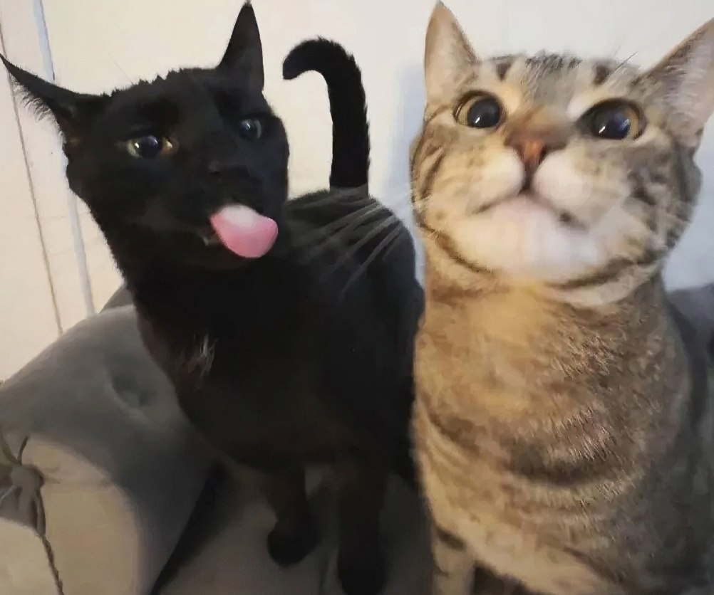��, ��� �� ��! - 2