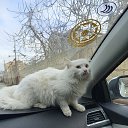 ���� Zeyd, ����, 36 ��� - ��������� 29 ������ 2025 � ������ ������ ��������