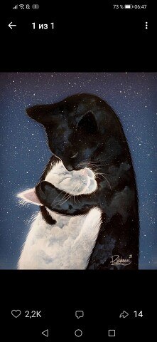 ���� �����, �����������, 54 ���� - ��������� 29 ������� 2023