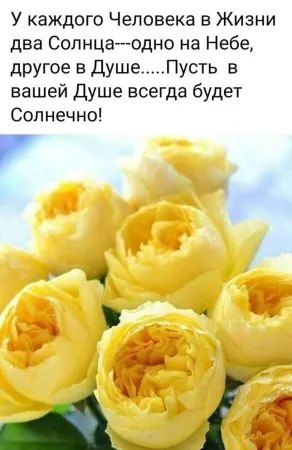 �������� ( �� �������� ��) - 21 ����� 2025 � 10:17