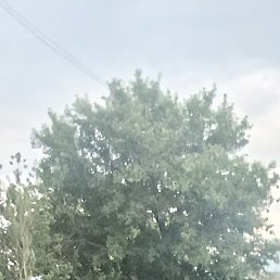 ���, ������, 38 ���