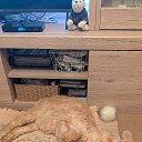 ���� �����, ������, 53 ���� - ��������� 22 ������ 2025 � ������ ������ ��������