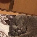 ���� ���, ������, 54 ���� - ��������� 7 ��� 2026 � ������ ���� ����������