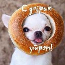 ���� �������, ����-���������, 41 ��� - ��������� 7 ������ 2024 � ������ ���� ����������