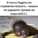  , - -  13  2024    