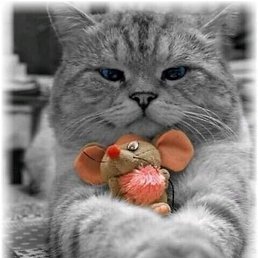 Important, ��������, 27 ���