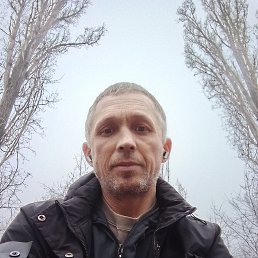 �������, 41 ���, �������