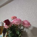 ���� �������, �������������, 43 ���� - ��������� 22 �������� 2025 � ������ ���� ����������