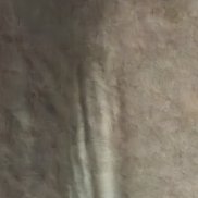 �������, 54 ����, ������