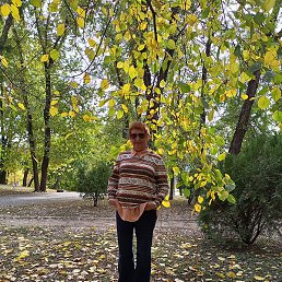 �����, ���������, 61 ���