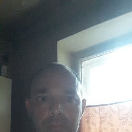 , 41, 