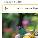 ���� �����, ������, 44 ���� - ��������� 19 ����� 2026