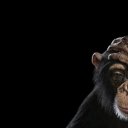 ���� ������, ��������, 62 ���� - ��������� 14 ������� 2024 � ������ ���� ����������