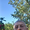 ���� Petr, ����� - ��������� 12 ���� 2024 � ������ ���� ����������
