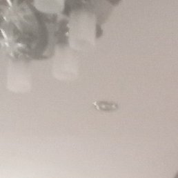 �������, ������-��-����, 47 ���