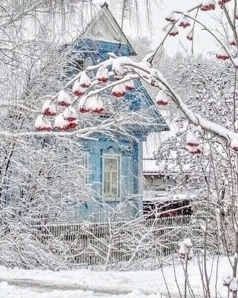       .       ...   , ...    ...