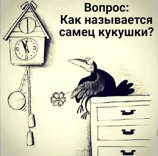  - 20  2024  10:00