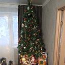���� ��������, ������, 58 ��� - ��������� 24 ������� 2023 � ������ ���� ����������