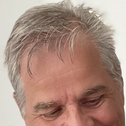 Vexi, , 65 