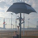 ���� �������, �����-���������, 50 ��� - ��������� 31 ���� 2025