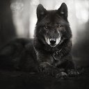 ���� ������, ���������, 23 ���� - ��������� 13 ������ 2024 � ������ ���� ����������