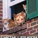 ���� �����, ������ ����� - ��������� 25 �������� 2026 � ������ ������ ��������