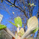 ���� ����������, �������, 43 ���� - ��������� 9 ����� 2025 � ������ ���� ����������