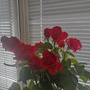 ���� �������, ����� - ��������� 22 ���� 2025 � ������ ���� ����������